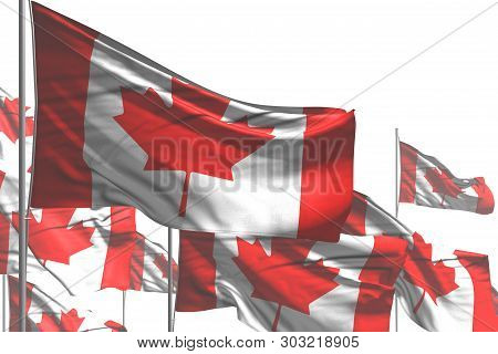 Nice Any Occasion Flag 3d Illustration
 - Many Canada Flags Are Wave Isolated On White