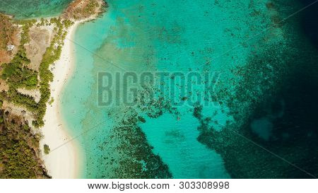 Aerial View Tropical Island With Sand White Beach, Palm Trees. Malcapuya, Philippines, Palawan. Trop