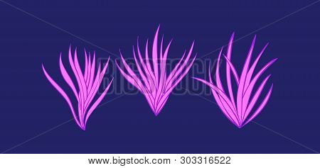 Underwater Bright Pink Seaweed Plants Set. Cartoon Seaware Vector Illustration, Sea Alga Collection,