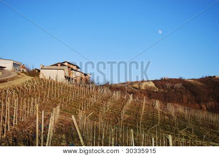 Panoramisk udsigt over bakker, Oltrepò Pavese, Italien