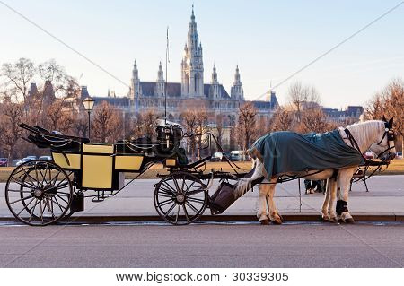 Carro Fiaker en Viena, Austria