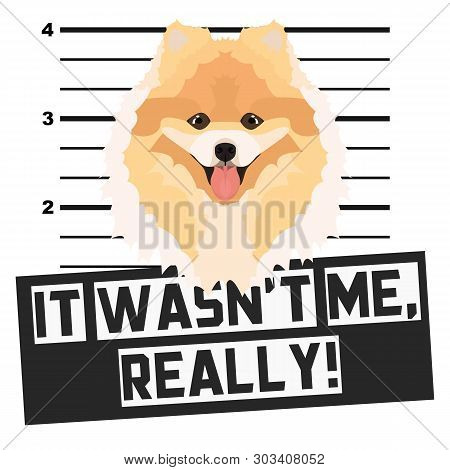 Illustration Mugshot Chow - The Guilty Dog ​​gets A Police Photo. Dog Lovers And Dog Fans Love Them 