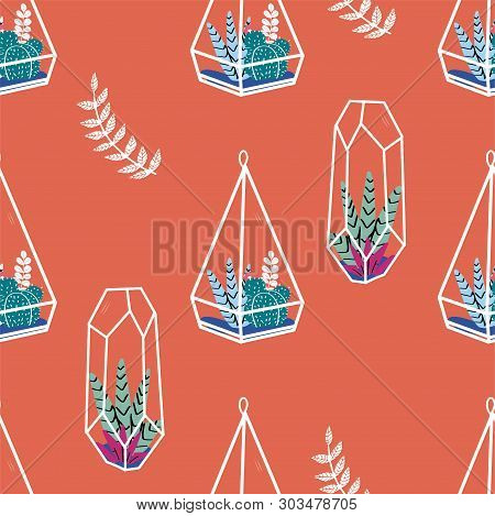 Home Decor In Modern Scandic Style. Succulents, Cactuses And Other Plants Growing In Florariums