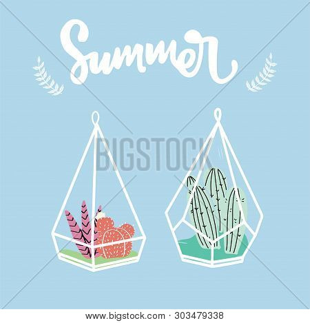Home Decor In Modern Scandic Style. Succulents, Cactuses And Other Plants Growing In Florariums