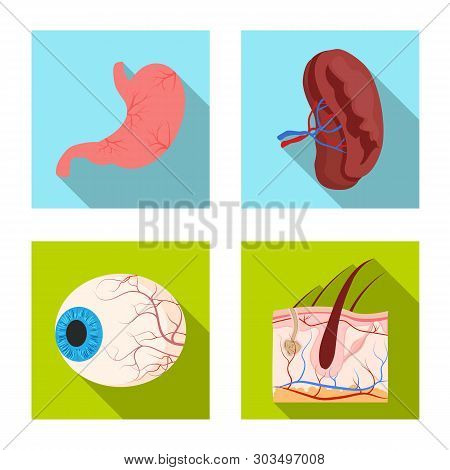Vector Illustration Of Body And Human Symbol. Set Of Body And Medical Vector Icon For Stock.
