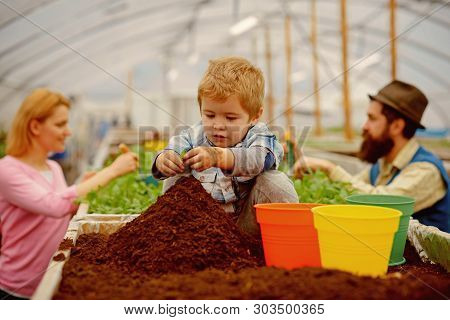 Little Biologist. Little Biologist Work With Soil. Little Biologist In Greenhouse. Little Biologist 