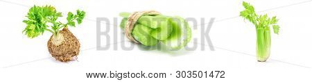 Set Of Celeriac Close-up Isolated On White Background
