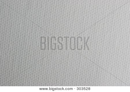 Macro Canvas Texture