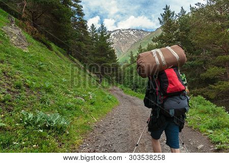 Traveler With Backpack And Tent Goes Up Mountain Road Through Forest. Tourist Goes Up To Caucasus Mo