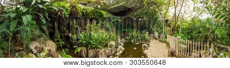 Palmetum Of Santa Cruz De Tenerife, Canary Islands