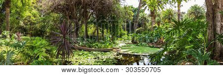 Palmetum Of Santa Cruz De Tenerife, Canary Islands
