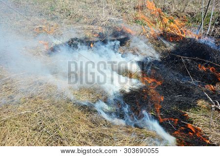Burning Off Dead Grass. Burn Off The Lawn.