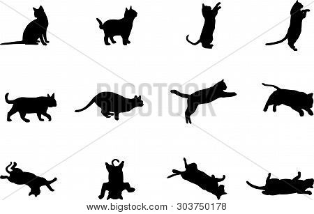 Set Cat Black White Background Isolated Logo Icon 
Vector Illustration Sign Silhouette