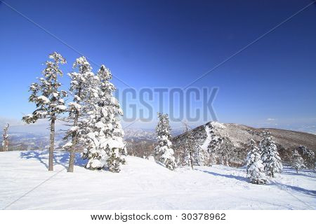 Ski Run
