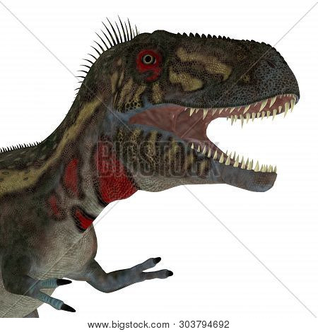Nanotyrannus Dinosaur Head 3d Illustration - Nanotyrannus Was A Carnivorous Theropod Dinosaur That L