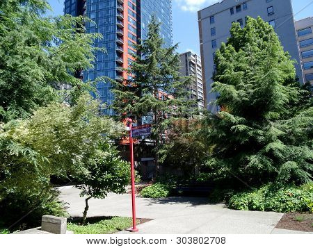 Seattle - June 25, 2016: Trees Surround Path In Fwy Park Central Plaza.