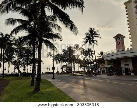 Waikiki - May 10, 2018: Sunset Though Coconut Trees On Kapahulu Street With Tucker & Bevvy, And Star