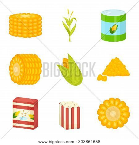 Vector Design Of Maize And Food Logo. Collection Of Maize And Crop Vector Icon For Stock.