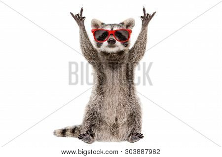 Funny Raccoon In Red Glasses Showing A Rock Gesture Isolated On White Background
