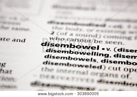 Word Or Phrase Disembowel In A Dictionary.