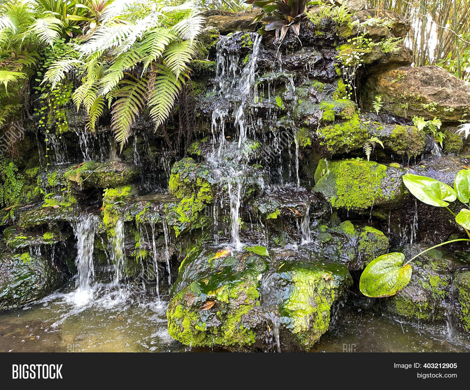 Tropical Waterfall Image & Photo (Free Trial) | Bigstock