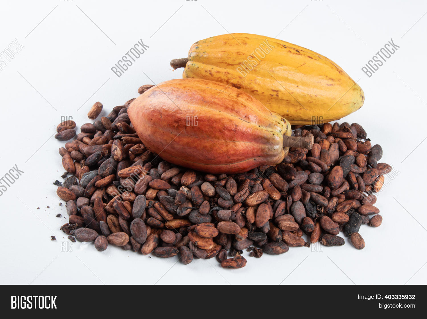 Cocoa Fruit Over Raw Image & Photo (Free Trial) Bigstock