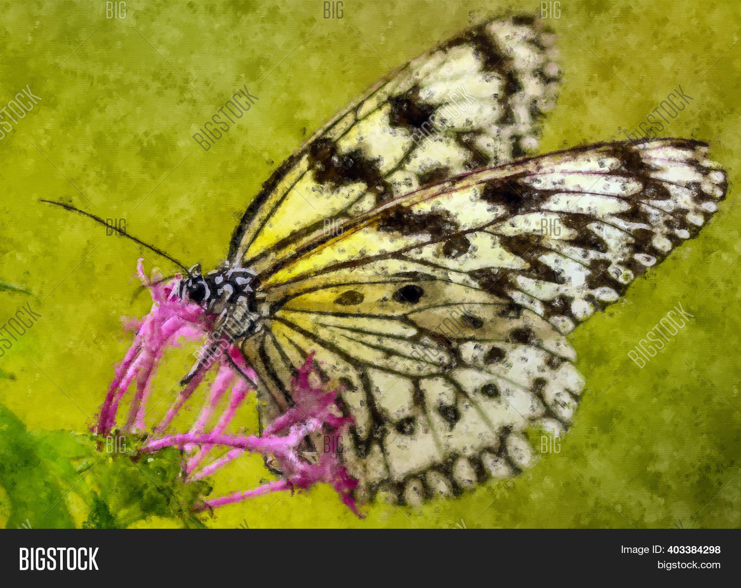 Beautiful Acrylic Image Photo Free Trial Bigstock