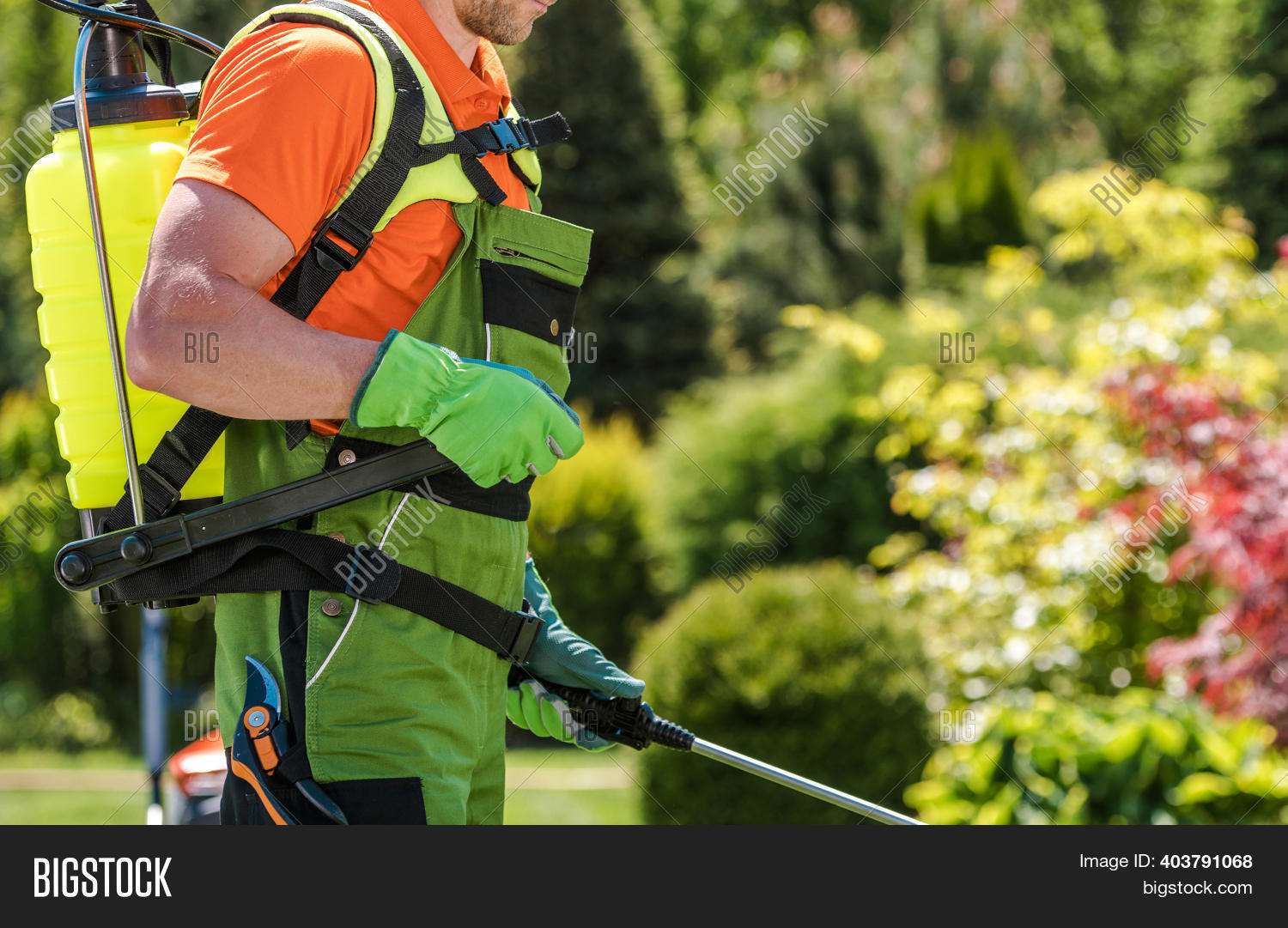 Plants Fertilization Image & Photo (Free Trial) Bigstock