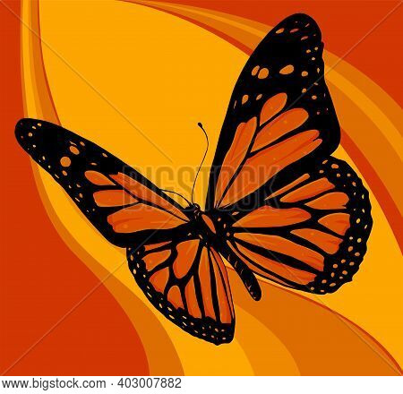 Vector Illustration Of A Beautiful Colorful Butterfly