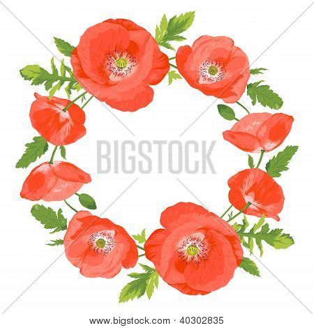 Poppies Wreath