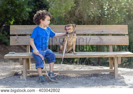 Child Caressing His Puppy With Love On A Wooden Bench In A Natural Park, On A Sunny Summer Day,