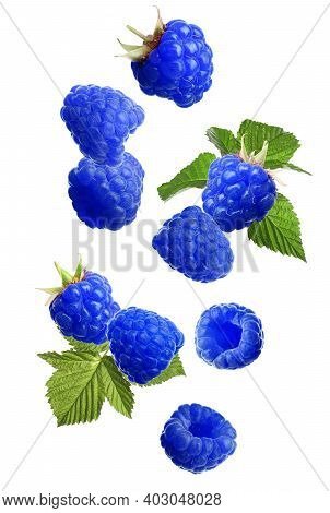 Falling Fresh Tasty Blue Raspberries On White Background