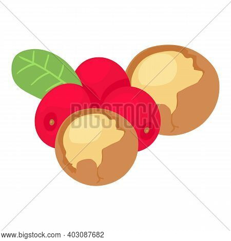 Useful Food Icon. Isometric Illustration Of Useful Food Vector Icon For Web