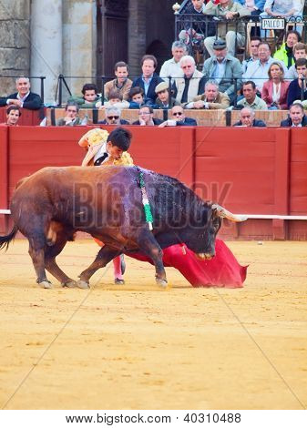 Sevilla-huhtikuu: Novilladas Plaza De Toros De Sevilla. Novillero:Alvaro Sanlucar. Toukokuu 20, 2012