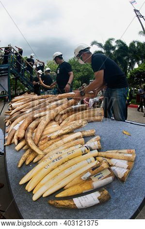 Bangkok ,thailand-august 26 , 2015 : Government Officials An Unknown Man Is Destroying The Seized Iv