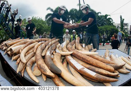 Bangkok ,thailand-august 26 , 2015 : Government Officials An Unknown Man Is Destroying The Seized Iv