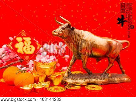 Tradition Chinese 2021 is year of the ox,Chinese characters on rightside mesn chinese wording and seal mean:Chinese calendar for the year.leftside and gold ingot translation:good bless for money.