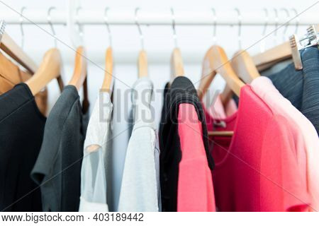 Women Clothing - Fall Winter Collection - Image