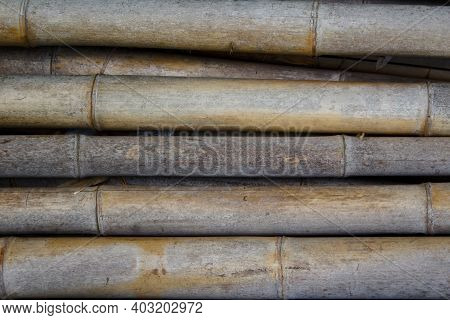 Surface Of Reeds For Background And Texture