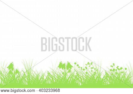 Green Spring Background With Copy Space. Summer Grass Banner With Flowers. Template Backdrop Frame F