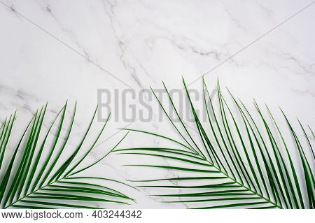 Tropical Green Palm Leaf On Pink Marble Background. Flat Lay, Top View. Copy Space For Your Text. Su