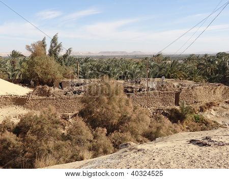 W okolicy: Oaza Bahariya