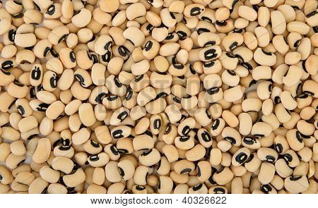 Sfondo fagioli piselli Black-Eyed