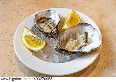 Delicious Fresh Oysters On A White Plate With Ice And Lemon Slices.