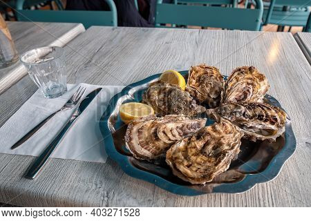 Fresh Oysters On Blue Plate, With Lemon And Ice. Healthy Seafood. Served Table In Restaurant Close T
