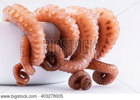 Close Up Of Raw Octopus A White Plate On White Background.fresh Seafood,tentacles Of Octopus On Whit