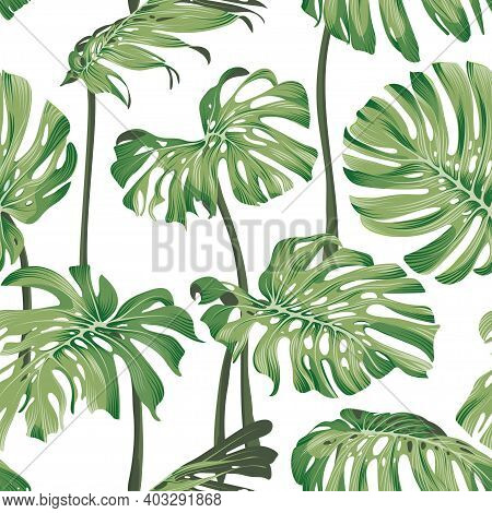 Monstera Leaves. Seamless Tropical Pattern With Exotic Leaves. Bright And Summer Pattern With Monste