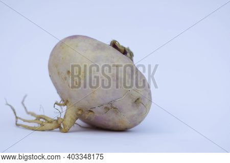 Turnip Or Brassica Rapa Indian Root Vegetable Light Purple Violet Color.asian Indian Pakistani Root 
