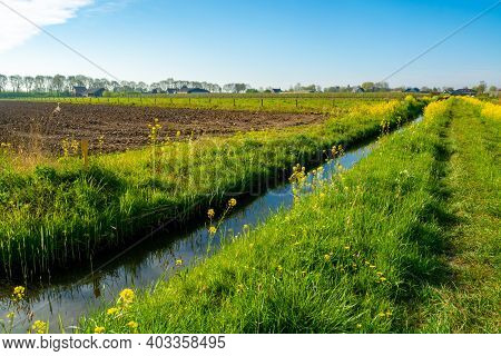 Spring Nature Landscape In Betuwe, Gelderland, Netherlands