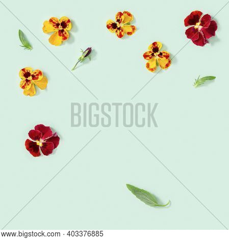 Modern Floral Background With Yellow And Red Pansy Flowers, Small Green Leaves, Summer Flat Lay Flow